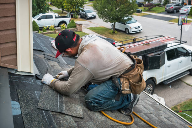 Professional Roofing technician working in Loraine, IL